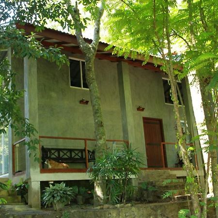 Executive Residency Retreat Villa Hikkaduwa Buitenkant foto