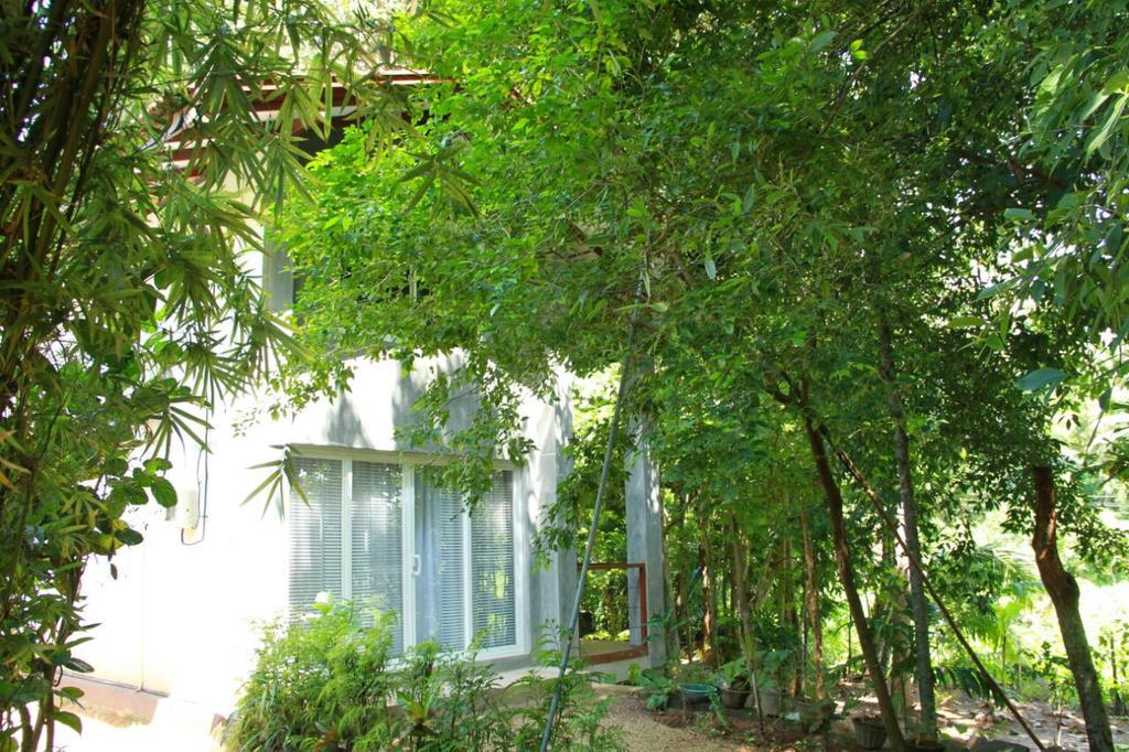 Executive Residency Retreat Villa Hikkaduwa Buitenkant foto